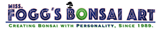 Miss Fogg's Bonsai Art Logo