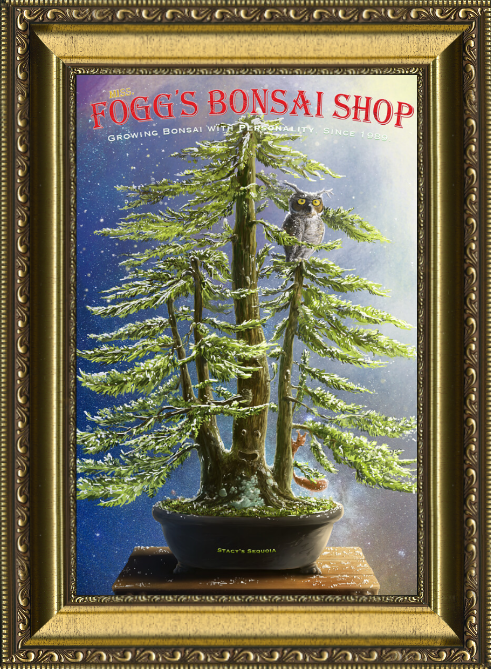 Sequoia Redwood Bonsai, customized with your child’s name (framed 12x16-inch) - Image 7